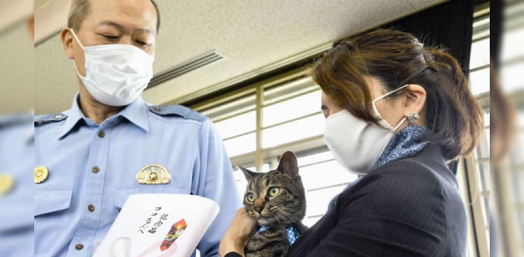Cat saves life of elderly man