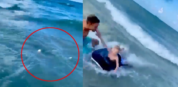 Courageous cop saves child from shark's jaws, video goes viral