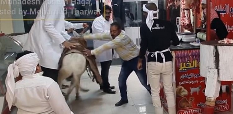 PETA accuses Egyptian prank show of ‘animal cruelty’