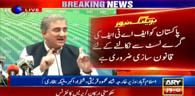 FATF-related legislation to move Pakistan to watchdog's white list: FM Qureshi