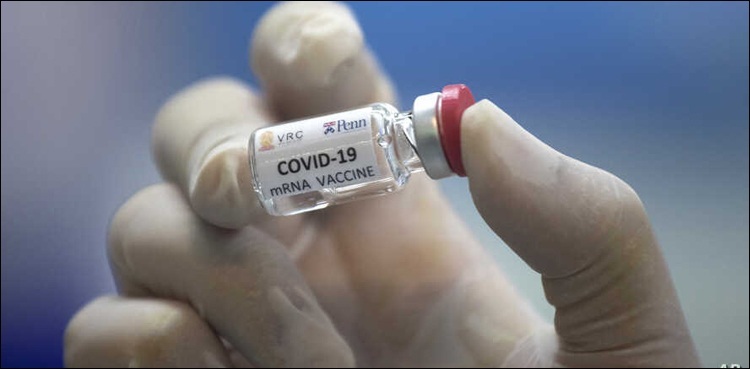 World’s largest vaccine-maker to develop plant-based COVID-19 vaccine