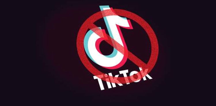 'Vulgarity, waste of time and money': LHC petition seeks ban on TikTok