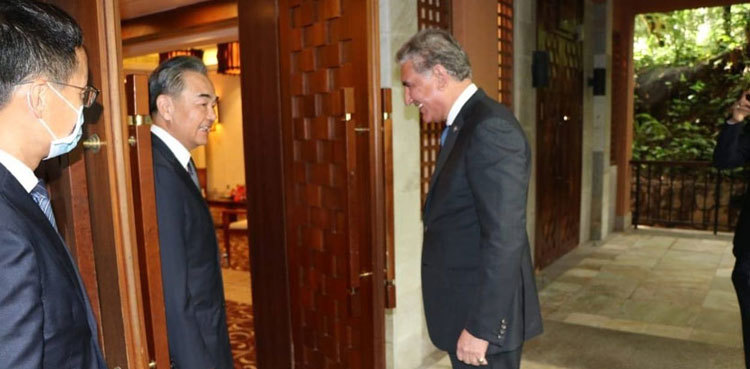 FM Qureshi meets Chinese counterpart in Hainan