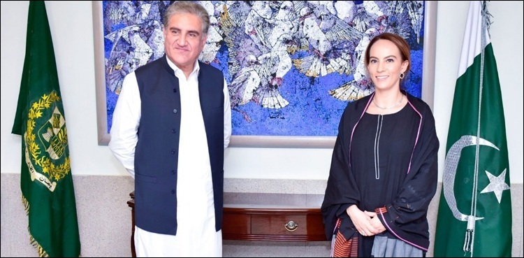 FM Qureshi urges IPU to play role in resolving Kashmir dispute