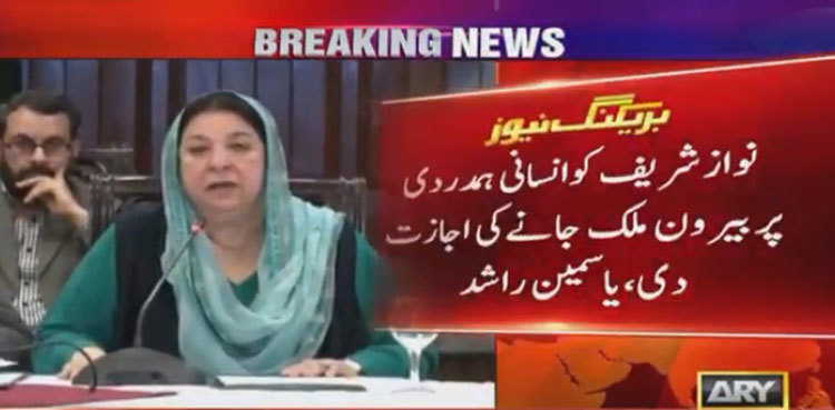 Nawaz allowed treatment abroad on humanitarian grounds: minister