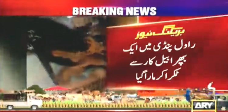 WATCH: Man injured as bull crashes into his car in Rawalpindi