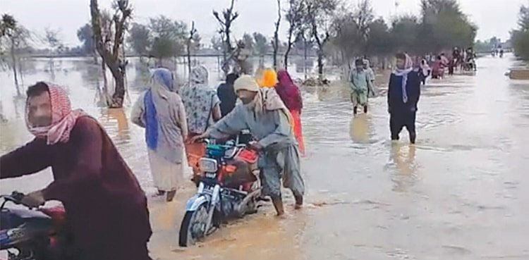 Dadu receives 310mm rainfall in past 24 hours