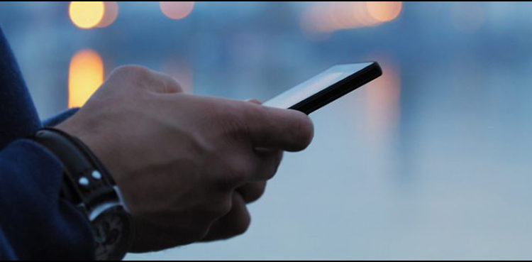 App to tackle stray dog issue in Sindh on the cards