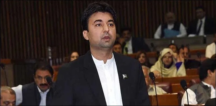 Pakistan landed in grey-list due to oppostion: Murad Saeed