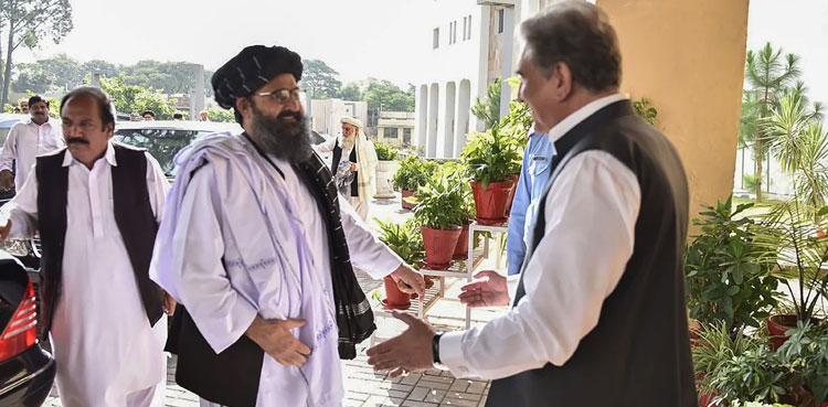 Afghan Taliban delegation to meet FM Qureshi