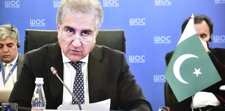 India facing defeat at international forums: FM Qureshi
