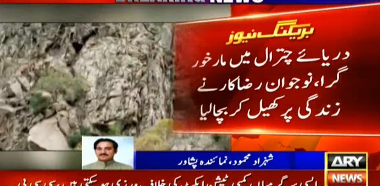 WATCH: Chitral youth jumps into river to save drowning Markhor