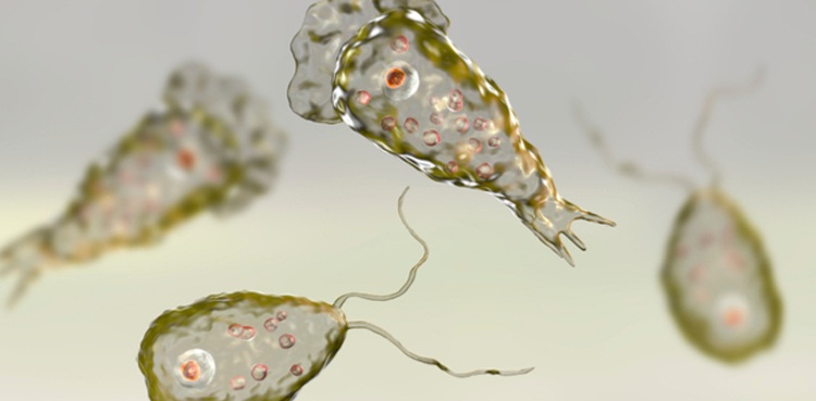 Naegleria claims another life in Karachi as tally rises to 5