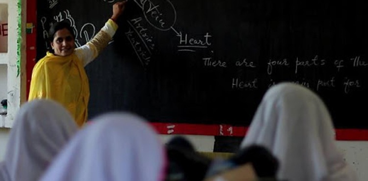 Short curriculums prepared for schools, colleges