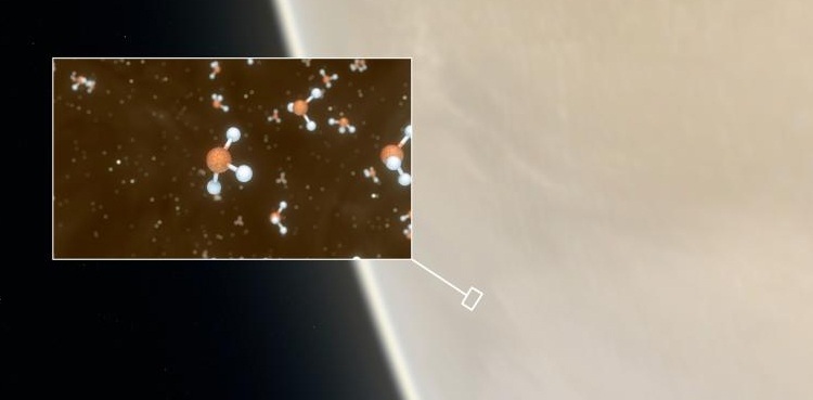 NASA mulls mission to Venus after recent discovery of possible life