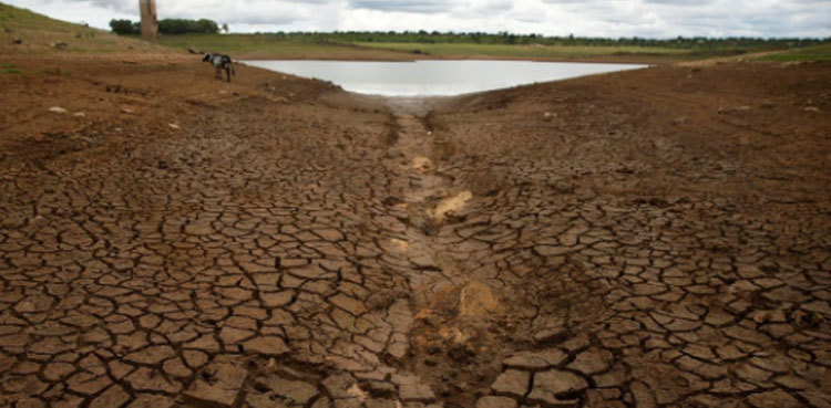 More than 1 billion people face displacement by 2050: report