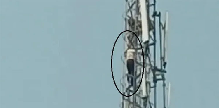 Man climbs mobile tower after fight with wife