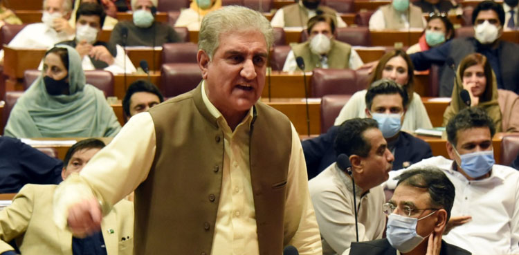 We suffer impacts of foreign policies made by earlier rulers, says FM Qureshi