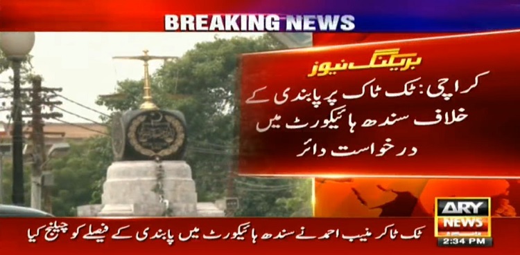 TikToker challenges ban on TikTok in SHC