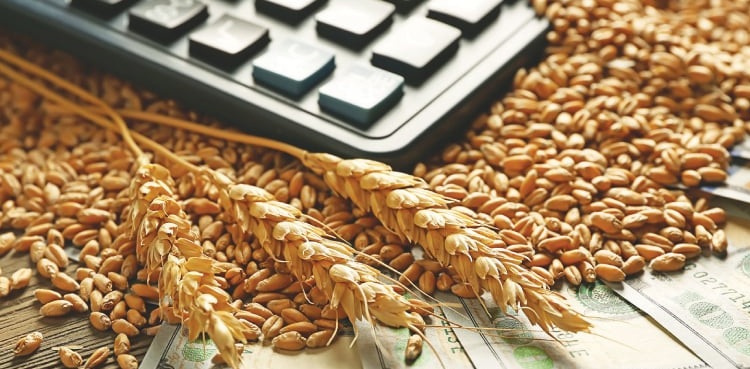 TCP opens import tender for 300,000 tonnes of wheat
