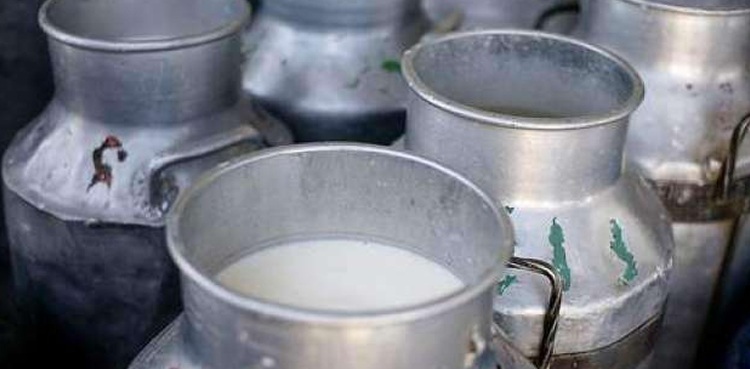 Sindh High Court directs to fix milk prices