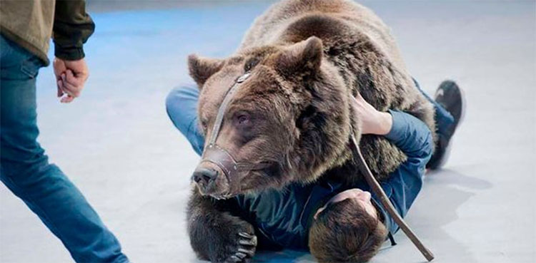 Circus worker mauled to death by performing bear
