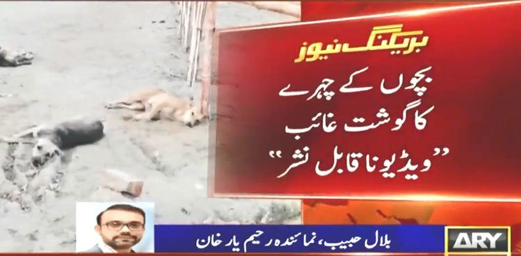 Two children mauled to death by stray dogs in Rahim Yar Khan