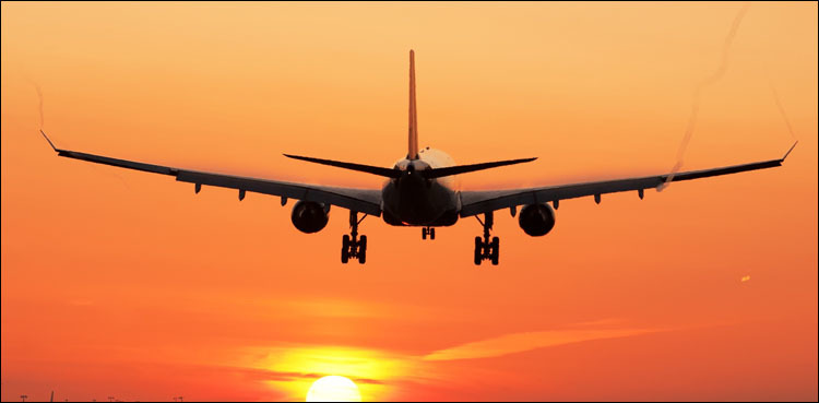 Peshawar-Karachi flight cancelled after mouse spotted on plane