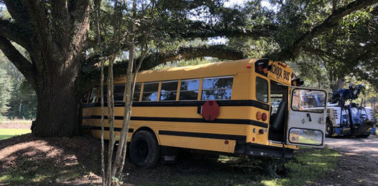 VIDEO: 11-year-old boy steals school bus, takes it on joyride