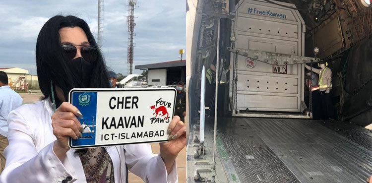 Kaavan lands safely in Cambodia to start new life