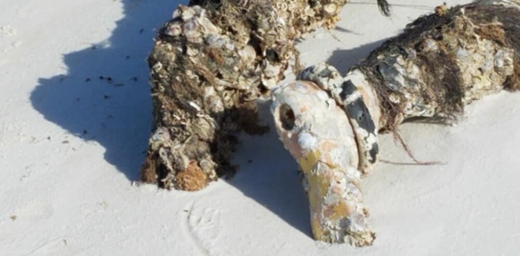 'Decapitated body' turns out to be a store mannequin