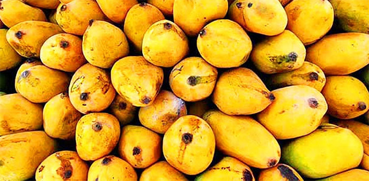 Sindhri, Chaunsa mangoes, kinnow among ten items approved for GI tag