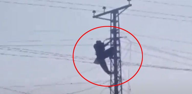 Man climbs electric pole to woo angry wife