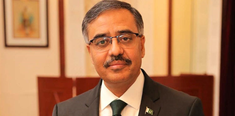 Pakistan, China committed to timely completion of CPEC projects: Sohail Mehmood