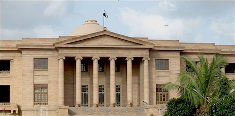 SHC questions FIA action against Karachi software house