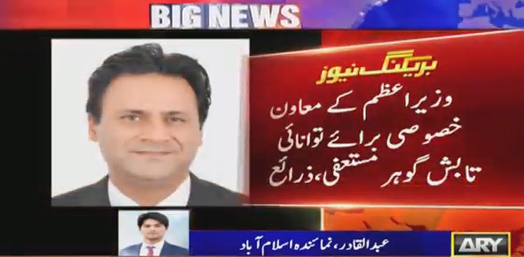 Tabish Gauhar steps down as SAPM on power