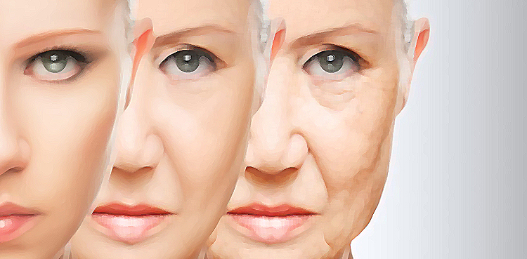 Scientists develop gene therapy which could delay ageing