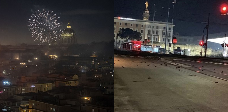 Hundreds of birds found dead in Rome after New Year fireworks