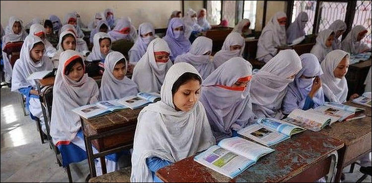 Sindh schools to reopen with 50% attendance, notification issued