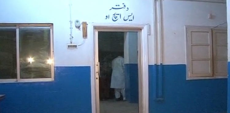 Police staff run for lives as pigs enter station building