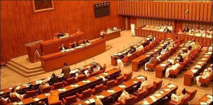 Senate passes SBP Amendment Bill amid ruckus