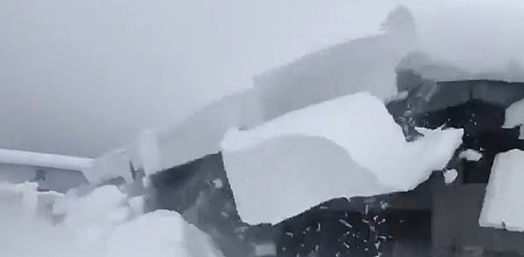WATCH: clueless man trying to clear snow off roof hit by mini avalanche