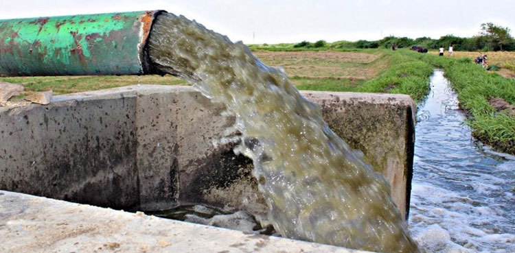 SHC orders action against use of sewage for vegetable cultivation