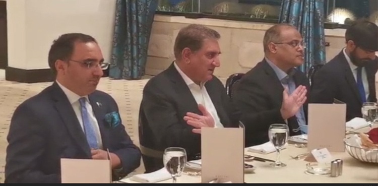 FM Qureshi invites Egyptian entrepreneurs to explore investment potential