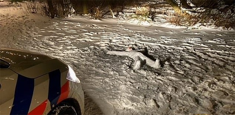 Police probe lying snowman as cold-blooded murder case only to laugh later