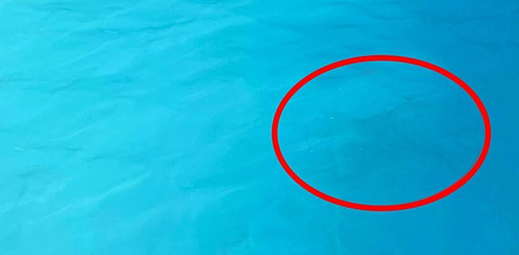Can you spot a child swimming in outdoor pool?