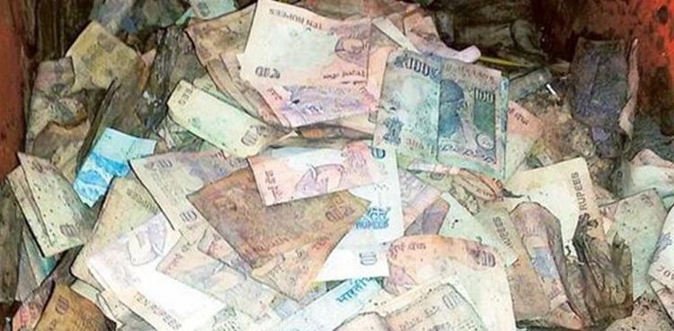 Termites eat through farmer's life savings hidden in a trunk