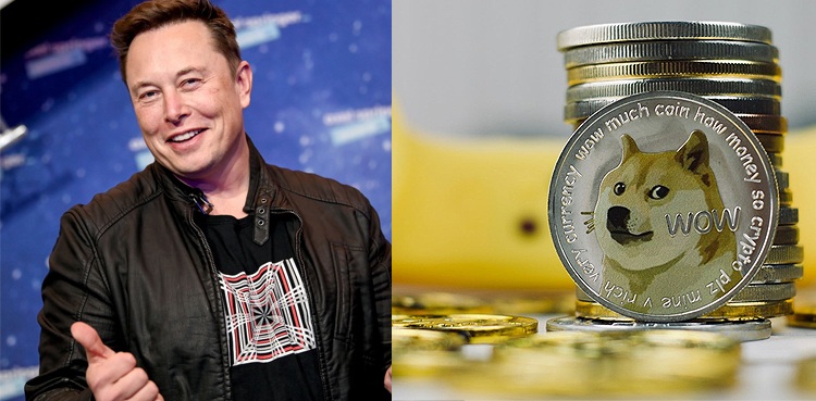 Elon Musk sued over alleged Dogecoin pyramid scheme