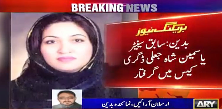 Fake degree: Ex-senator sentenced to two years in prison