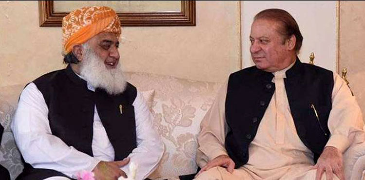 Nawaz, Fazl agree to stage long march sans PPP: sources
